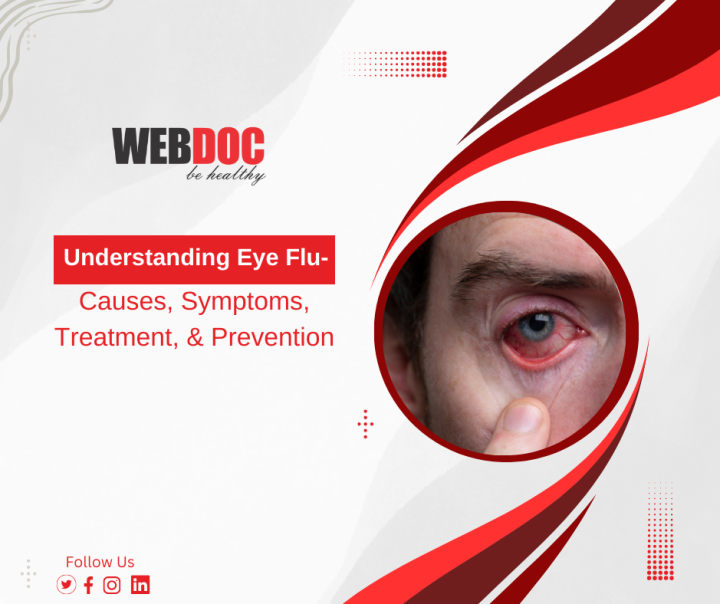 Understanding Eye Flu Webdoc