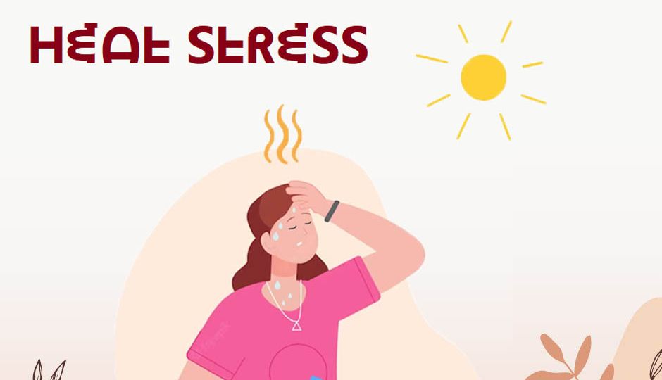 heat stress