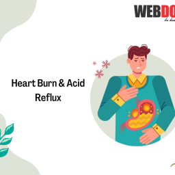 heatburn and acid reflux