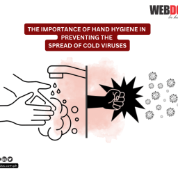The Importance of Hand Hygiene in Preventing the Spread of Cold Viruses - webdoc health
