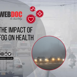 impact of fog