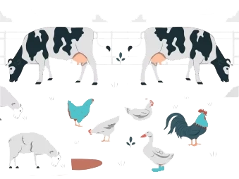 webdoc livestock insurance