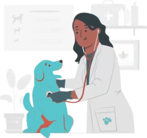 vet doctor service
